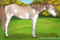 Horse Color:Liver Chestnut Pearl Splash 