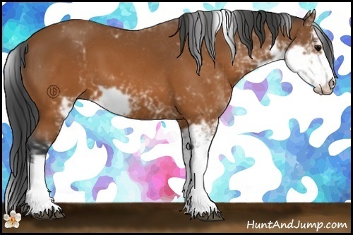Horse Color:Brown Sabino