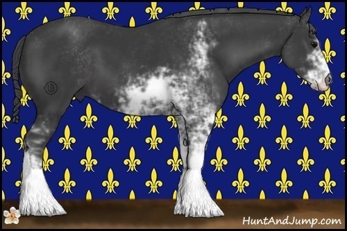 Horse Color:Black Sabino 