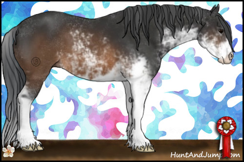 Horse Color:Brown Sabino