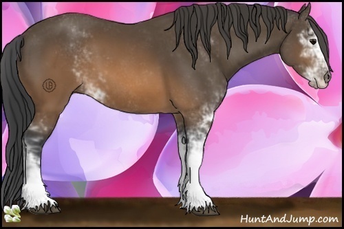Horse Color:Brown Sabino