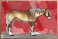 Horse Color:Silver Brown Roan Onyx 