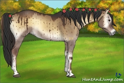 Horse Color:Liver Red Dun Onyx 