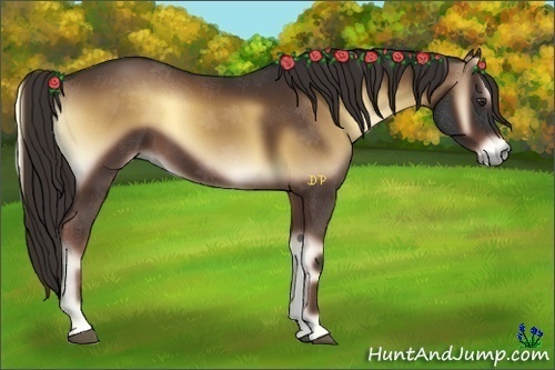 Horse Color:Liver Red Onyx
