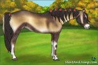 Horse Color:Liver Red Onyx 