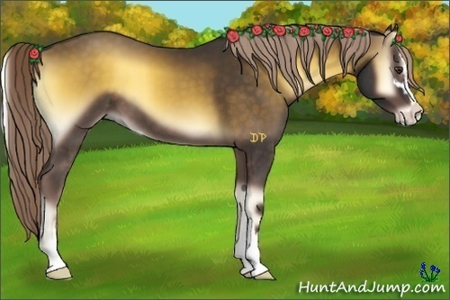 Horse Color:Chocolate Palomino Onyx Sabino 