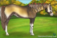 Horse Color:Chocolate Palomino Onyx Sabino 