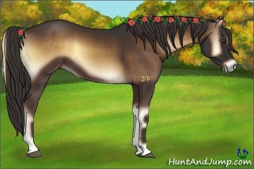 Horse Color:Liver Red Onyx