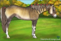 Horse Color:Chocolate Palomino Onyx Rabicano