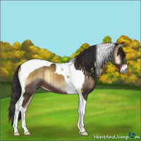 Horse Color:Liver Red Onyx Tobiano Brindle 