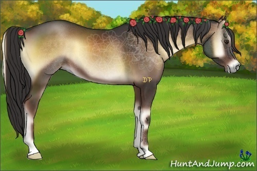 Horse Color:Liver Red Onyx