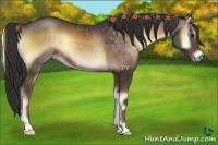 Horse Color:Liver Red Onyx