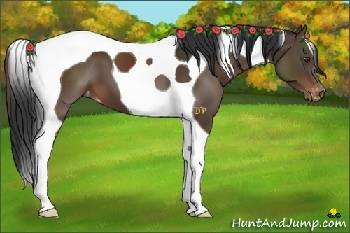 Horse Color:Liver Chestnut Tobiano Varnish