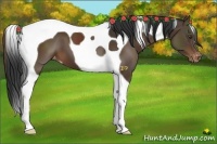 Horse Color:Liver Chestnut Tobiano Varnish 