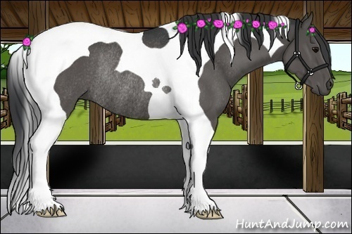 Horse Color:Black Tobiano Rabicano