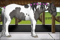 Horse Color:Black Tobiano Rabicano