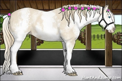 Horse Color:White Spotted Smoky Creme Splash