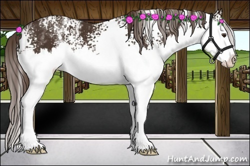 Horse Color:White Spotted Liver Chestnut Splash 