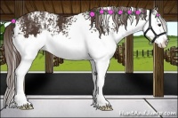 Horse Color:White Spotted Liver Chestnut Splash 