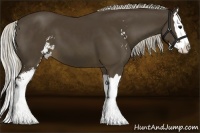 Horse Color:Silver Smoky Black Sabino Splash