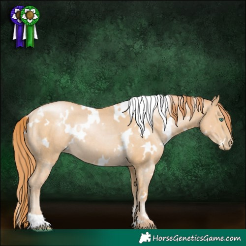 Horse Color:White Spotted Smoky Black Pearl Rabicano
