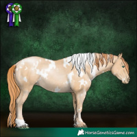 Horse Color:White Spotted Smoky Black Pearl Rabicano