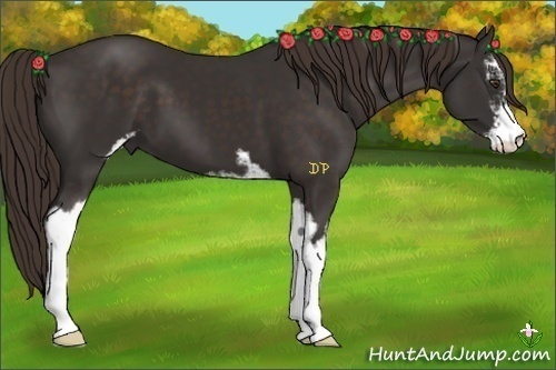 Horse Color:Liver Chestnut Sabino 
