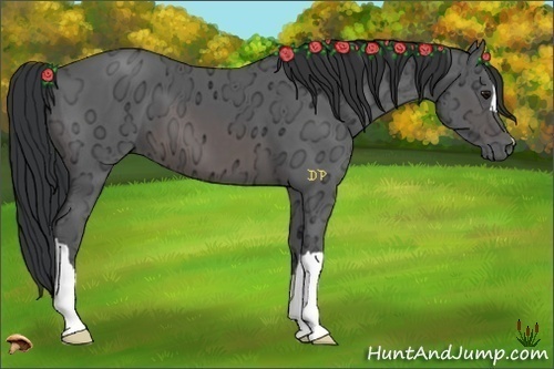 Horse Color:Brown Ice