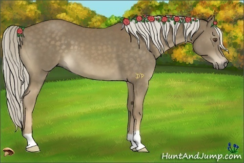 Horse Color:Chocolate Palomino