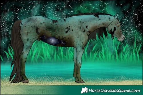 Horse Color:ERROR: UNKNOWN ANOMALY