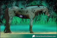 Horse Color:ERROR: UNKNOWN ANOMALY