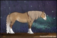 Horse Color:Liver Red Dun Splash Rabicano 