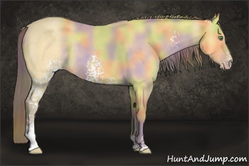 Horse Color:Nacre White Spotted Amber Cream Champagne