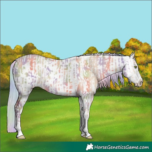 Horse Color:Nacre White Spotted Silver Amber Champagne Dun Tobiano and Nacre White Spotted Silver Amber Champagne Dun Leopard