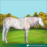 Horse Color:Nacre White Spotted Silver Amber Champagne Dun Tobiano  and Nacre White Spotted Silver Amber Champagne Dun Leopard 
