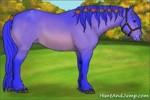 Horse Color:Watercolor Bay Appaloosa 