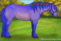 Horse Color:Watercolor Bay Appaloosa 