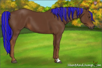 Horse Color:Gray Painted Chestnut