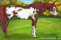 Horse Color:Gray Painted Chestnut Frame