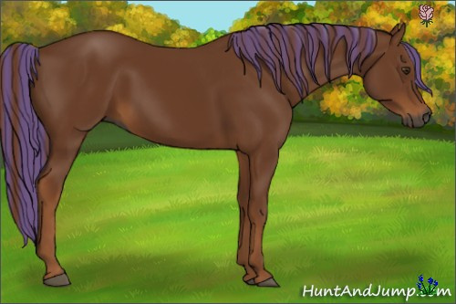 Horse Color:Gray Painted Chestnut 