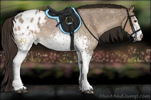 Horse Color:White Spotted Liver Red Dun Roan Snowflake Varnish