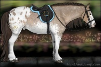 Horse Color:White Spotted Liver Red Dun Roan Appaloosa 