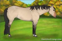 Horse Color:Brown Dun Rabicano 