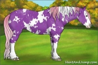 Horse Color:Watercolor White Spotted Liver Chestnut Splash 