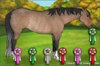 Horse Color:Brown Dun Rabicano 