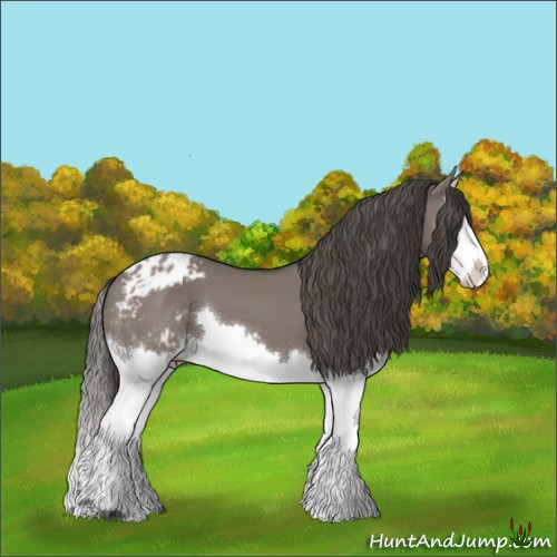 Horse Color:Grullo Splash Varnish 