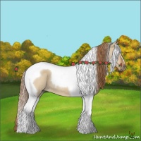 Horse Color:Red Dun Tobiano