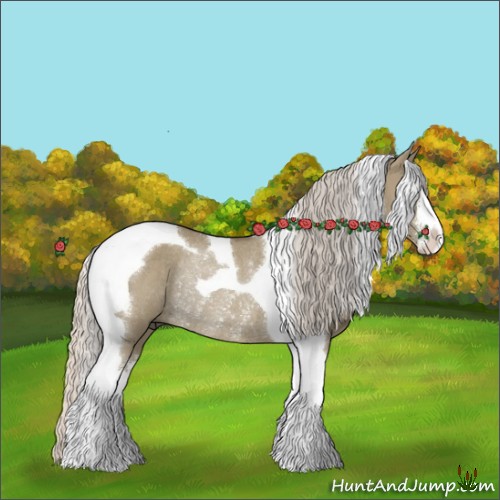 Horse Color:Silver Grullo Sabino Tobiano Rabicano 