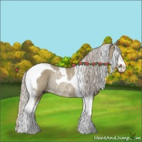Horse Color:Silver Grullo Sabino Tobiano Rabicano