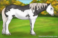 Horse Color:Liver Red Roan Splash Frame Rabicano